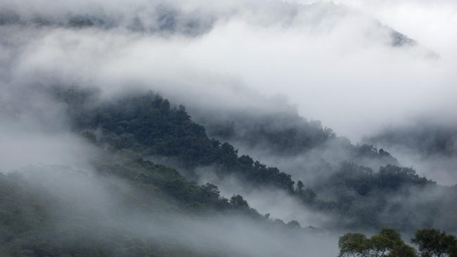 Фото - «Туманные» хранилища могут стать безопасной альтернативой «облачным»