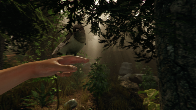 Фото - Игра The Forest для Oculus Rift научит вас выживать в лесу