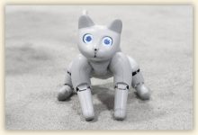 Фото - На выставке IFA 2022 показали сразу двух милых роботов-котов