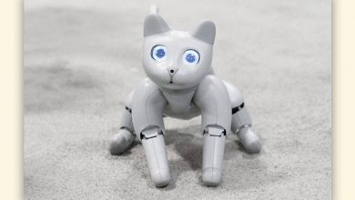 Фото - На выставке IFA 2022 показали сразу двух милых роботов-котов