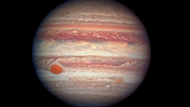 Фото - Наиболее благоприятные условия наблюдения впервые за 60 лет. Уже через пять дней Юпитер окажется на самом близком расстоянии от Земли, рассмотреть планету можно будет в бинокль