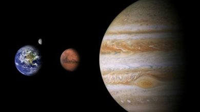 Фото - Ученые выяснили, как Юпитер влияет на жизнь на Земле