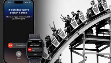 Фото - Apple объяснила, почему iPhone 14 путает катание на американских горках с ДТП